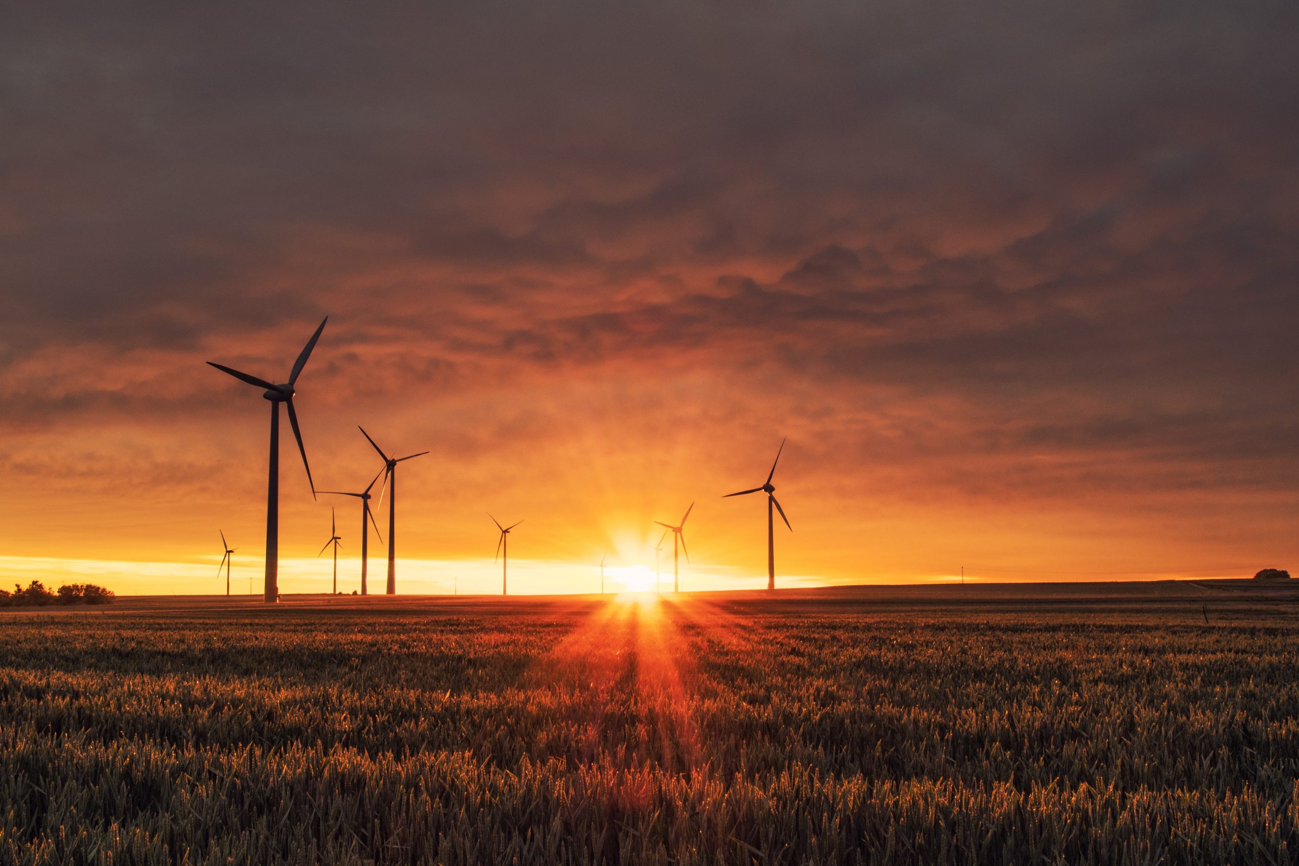 Windkraftanlagen auf einem Feld im Sonnenuntergang